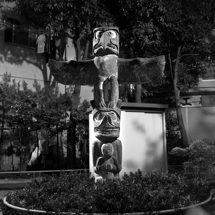 Totem Pole Photo Gallery Shinya Arimoto Website