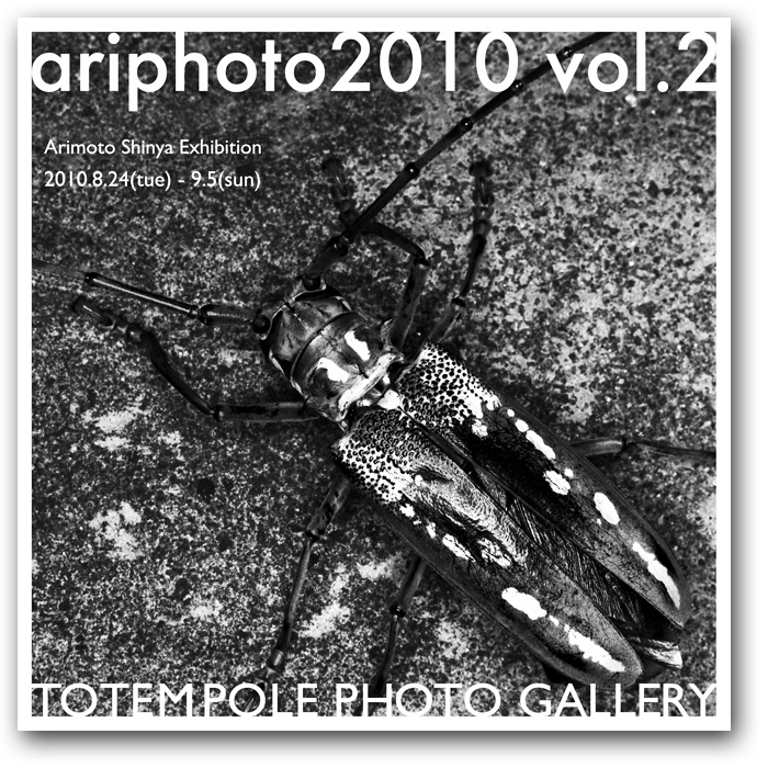 ariphoto 2010 冊