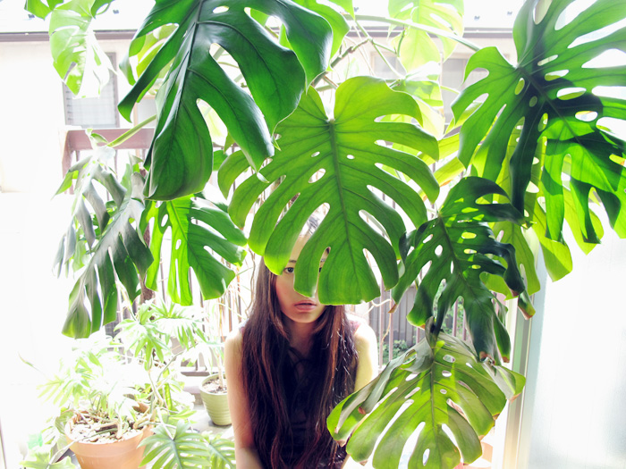식물 사랑