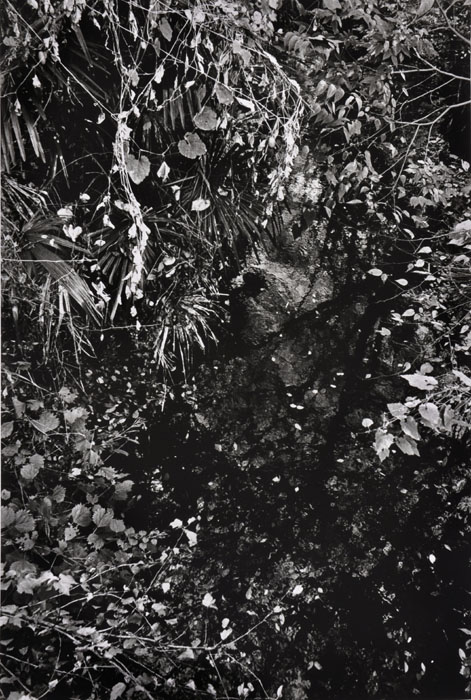 Okubo, exposição de fotografia "profundidade   α,