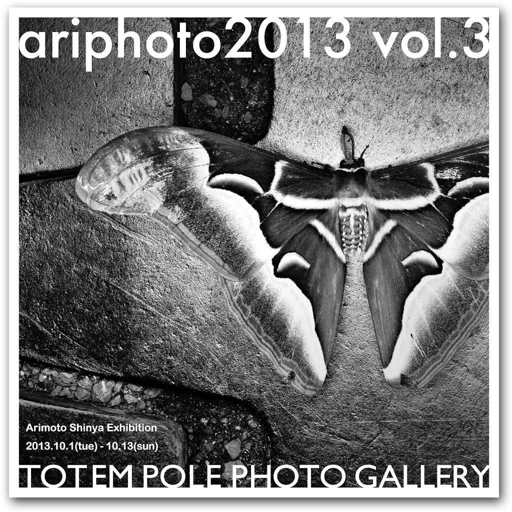 ariphoto 2013 Vol. 3